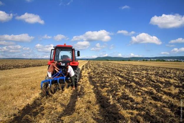 Иран хочет арендовать земли сельхозназначения в Украине