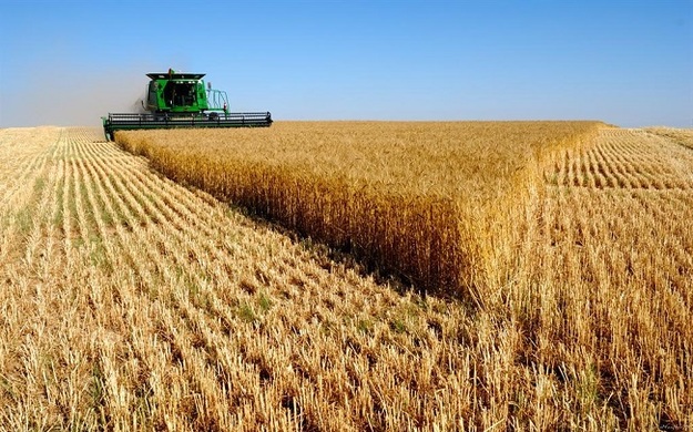 Верховная Рада продлила действующий в Украине с 2001 года мораторий на отчуждение и покупку-продажу земель сельскохозяйственного назначения до 1 января 2019 года.