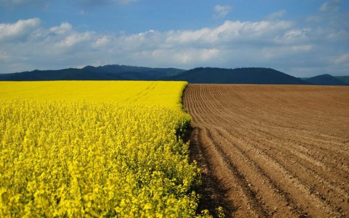 Мораторий на продажу земли сельскохозяйственного значения обходится экономике Украины в миллиарды долларов потерянной производительности и отчислений в бюджет.