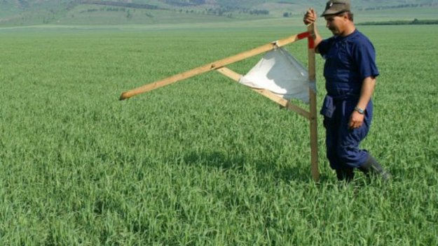 Європейський суд з прав людини (ЄСПЛ) визнав мораторій на продаж сільськогосподарських земель в Україні порушенням прав людини.