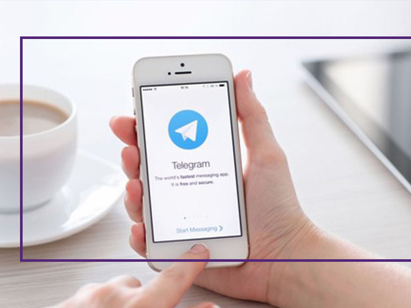 Отныне получить консультацию от специалистов Cashpoint клиенты могут и в мессенджере Telegram в чате CashChat_bot (в приложении или web-версии).