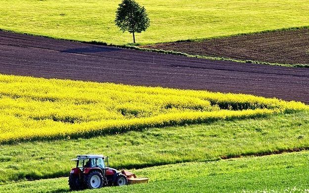 Президент Украины Петр Порошенко выразил сомнения по поводу возможности принятия решения о создании рынка земли в ближайшее время.
