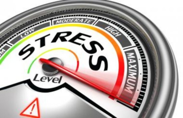 В рамках стресс-тестирования банков НБУ проводил стресс-тест его заемщиков, поэтому у регулятора накоплена информация, которая позволит провести стресс-тестирование отраслей.