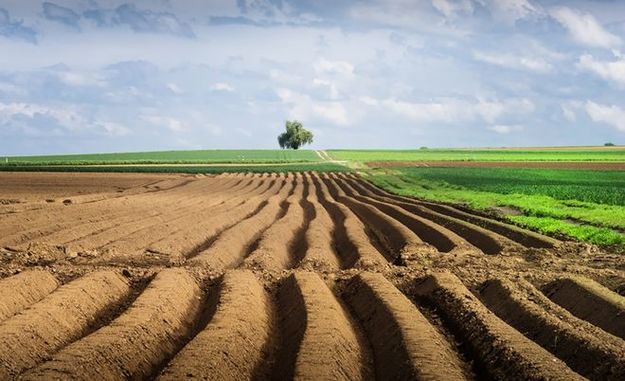 Президент Петро Порошенко підписав закон № 2666-VIII про продовження мораторію на продаж земель сільськогосподарського призначення.
