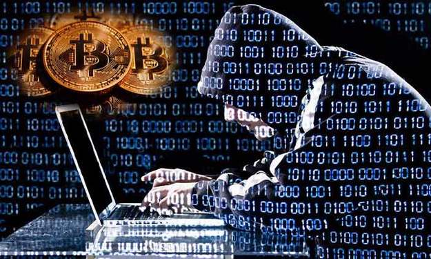 Кіберполіція затримала 32-річного мешканця Буковини, який створив безкоштовну онлайн-бібліотеку і майнив криптовалюту.