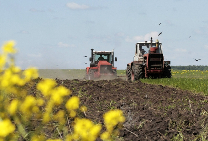 Ощадбанк є найбільшим оператором по виплаті кешбеку українським аграріям у рамках державних програм.