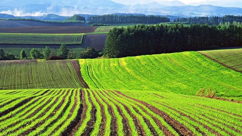 Открытие рынка сельскохозяйственных земель может приносить экономике ежегодно от 700 миллионов до 1,5 миллиарда долларов.