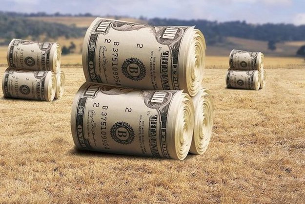 Согласно новому законопроекту о рынке земли, покупать землю сельхозназначения в Украине смогут все желающие.