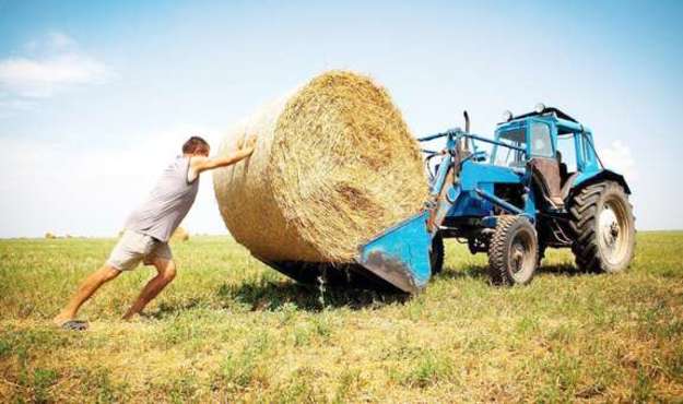 В Украине почти 3 млн гектаров сельскохозяйственной земли личных домохозяйств уже более 20 лет находятся в частной собственности.