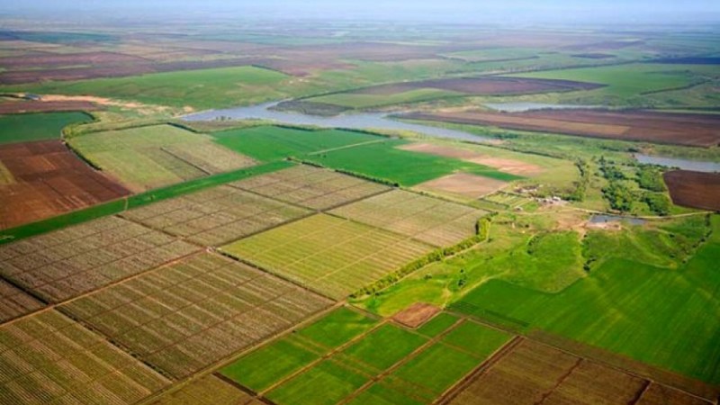 Украина вплотную приблизилась к отмене моратория на продажу сельскохозяйственных земель.