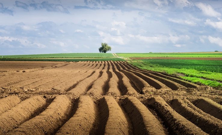 Всемирный банк поддержал запланированное открытие рынка сельскохозяйственных земель в Украине.