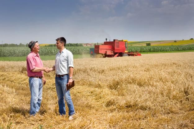 Світовий банк хоче допомогти дрібним фермерам в Україні сповна скористатися можливостями відкриття ринку сільськогосподарських земель.