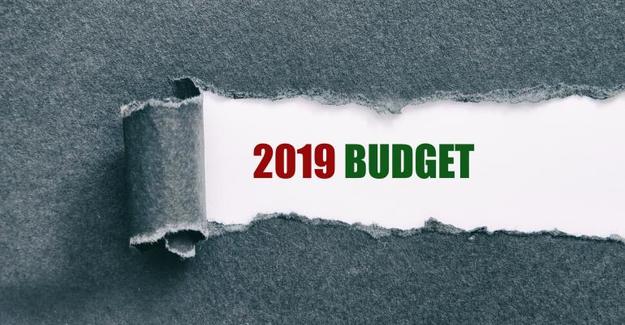 Рахункова палата України бачить високий ризик невиконання плану доходів держбюджету за підсумками 2019 року.