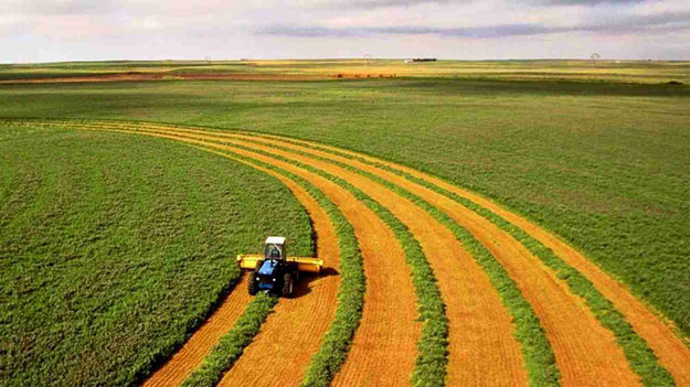 МЕРТ виступає за введення єдиного мінімального податку за кожен 1 га землі для виробників аграрної продукції.
