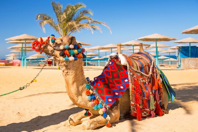 Власть Египта позволила отелям снова принимать внутренних туристов, но в то же время выдвинула ряд условий для защиты от коронавируса.