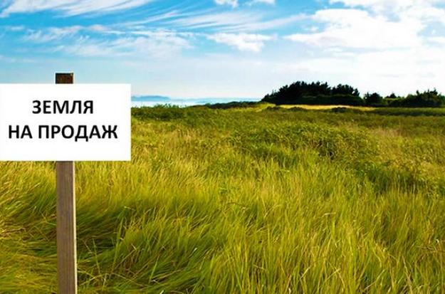 Украина снимет ограничения на покупку земель сельскохозяйственного назначения, но только после того, как обеспечит отечественным фермерам возможность брать дешевые кредиты для этой цели.