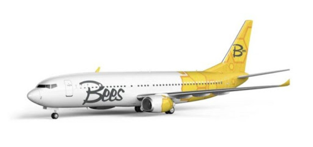 На следующей неделе стартуют авиарейсы нового украинского лоукоста Bees Airline