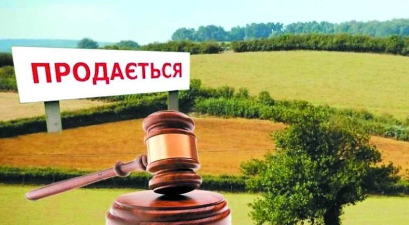 Відкриття ринку землі в Україні підштовхне зростання цін на землю в 2 рази