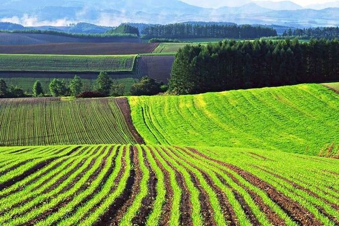 По состоянию на 19 июля в Украине зарегистрировано 1107 сделок на продажу земель сельскохозяйственного назначения.