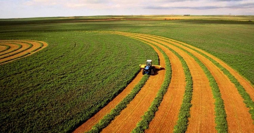 Осенью уровень предложения земель сельхозназначения может вырасти в 1,5-2 раза (исследование)