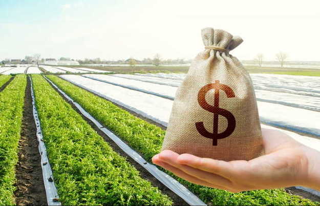 По состоянию на 10 августа в Украине на рынке сельскохозяйственных земель зарегистрировано 5 206 сделок.