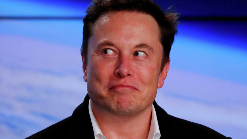 Токен Hamster подорожал на 503% после публикации в Twitter генерального директора Tesla и SpaceX Илона Маска.