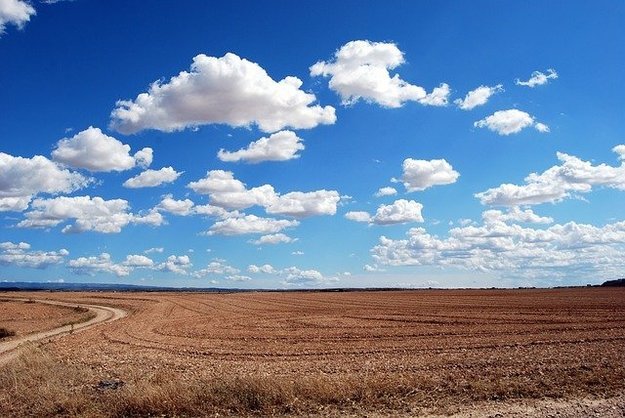 В Україні з 1 липня укладено 23,7 тис. угод купівлі-продажу земель сільгосппризначення, продано 58,52 тис.