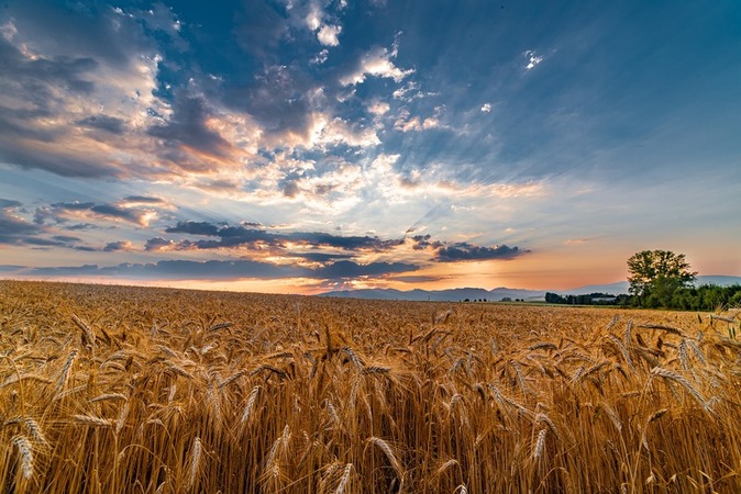 Открытие рынка земли в Украине – событие, породившее множество вопросов у фермеров и владельцев земельных паев.