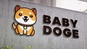 Baby Doge Coin