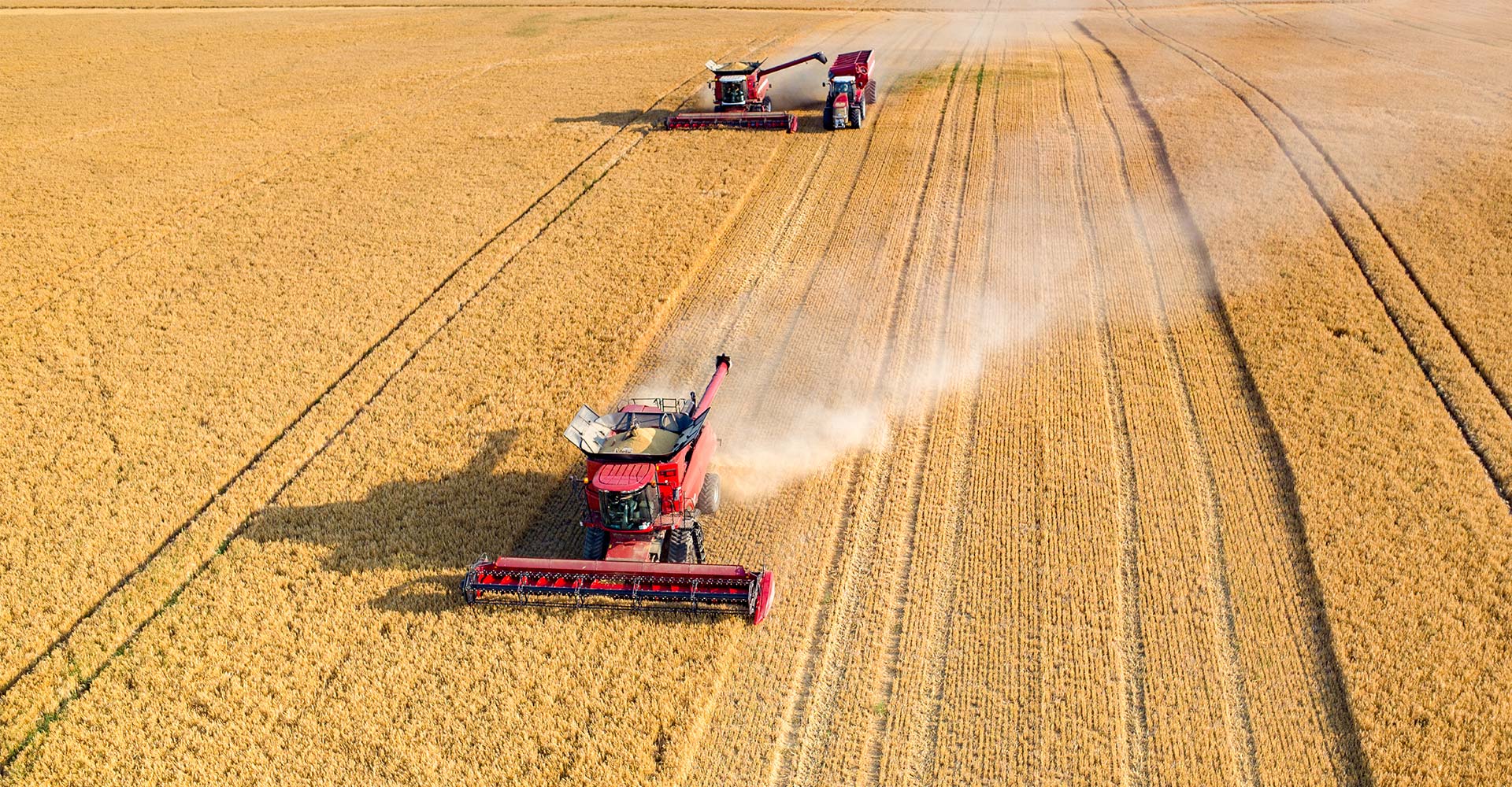Урожай, зерно, агропродукты, война в Украине