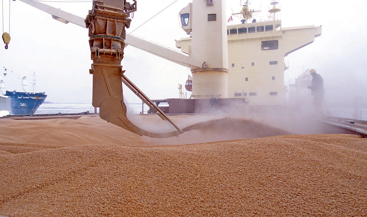 В Украине застряли почти 25 млн тонн зерна — ООН