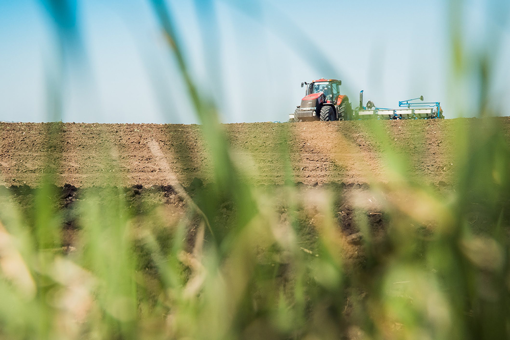Сельское хозяйство, посевная 2022, война в Украине
