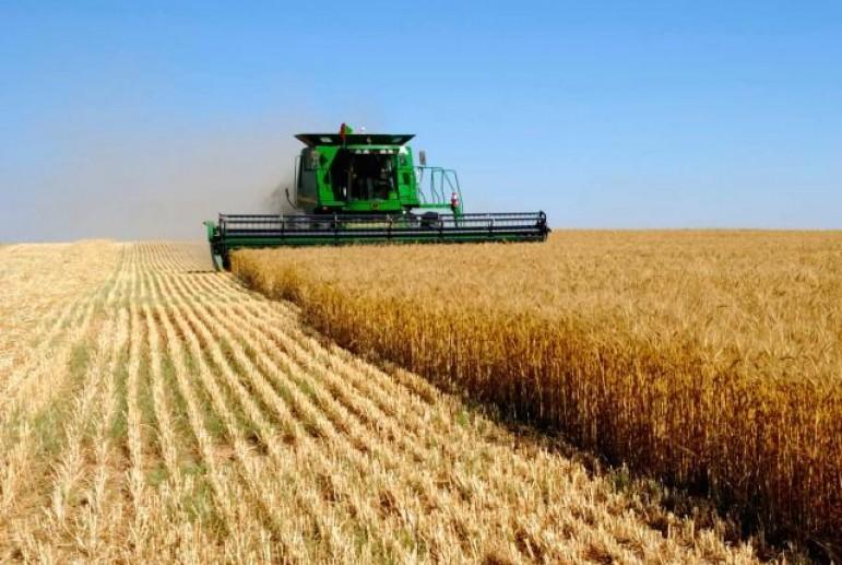 По оценкам аналитиков и исходя из опыта стран Центральной Европы стоимость сельскохозяйственных участков в Украине за 3 года может вырасти на 70%.