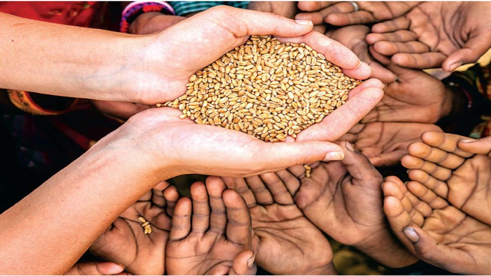 Уряд Індії заборонив експорт пшениці