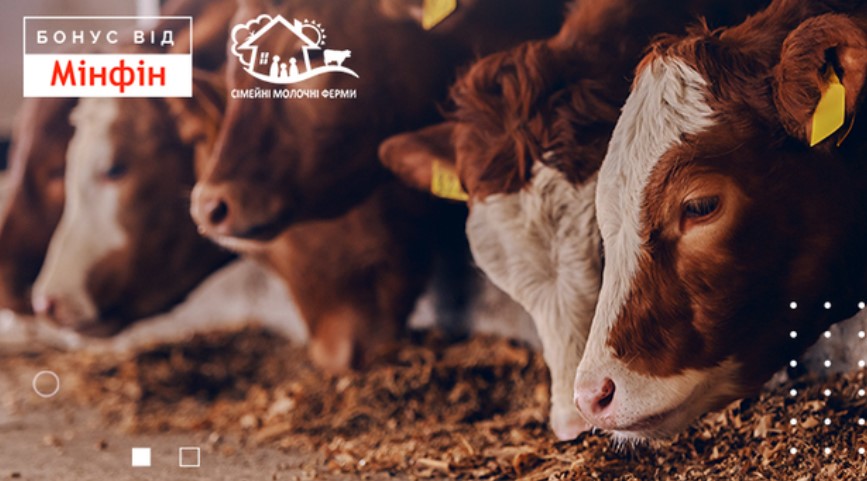 В программе «Бонус от Минфина «появился новый участник — ООО «Укрмилкинвест» с проектом «Семейные молочные фермы».