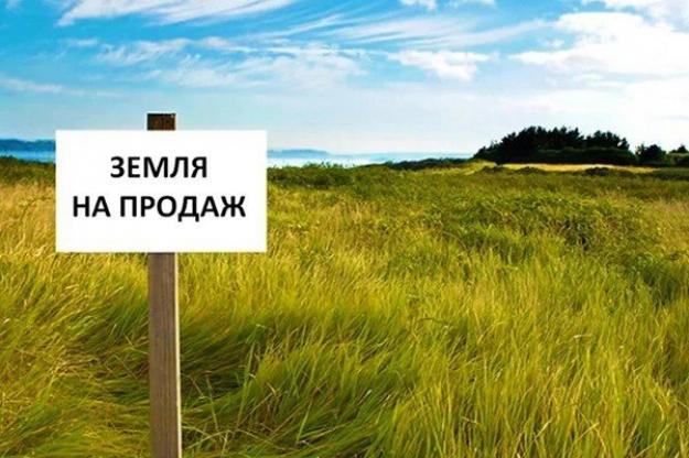 Ровно год назад, 1 июля, в Украине стартовал рынок земли.