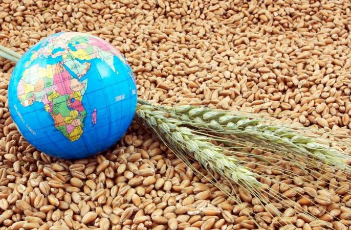Госсекретарь США Энтони Блинкен на саммите G20 потребовал от России разблокировать вывоз зерна из Украины.