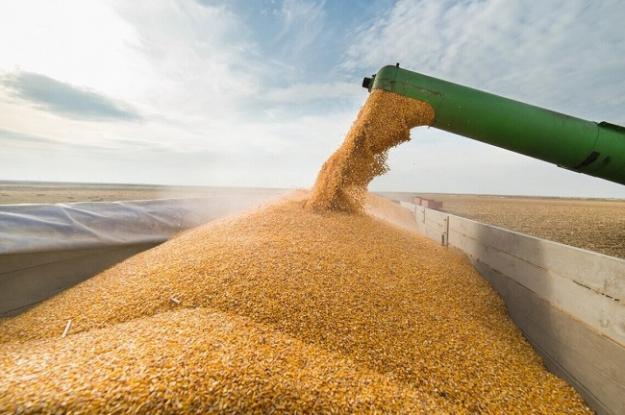 Приблизна загальна вартість викрадених РФ зернових та олійних культур в Україні становить понад $613 млн.
