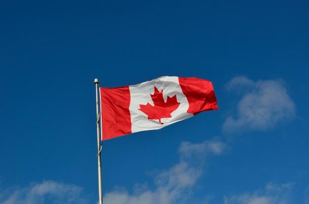 Канада ввела новые санкции в отношении нефтегазового сектора, химической и обрабатывающей промышленности Российской Федерации.