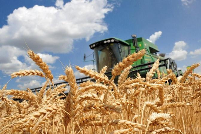 Уборку ранних зерновых и зернобобовых культур проведено на площади 2,1 млн га (18%) намолочено 6,5 млн тонн зерна нового урожая.