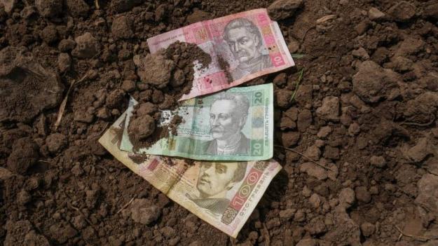 Нанесенный войной ущерб сельскохозяйственному сектору Украины составляет от $4 до $6 миллиардов.