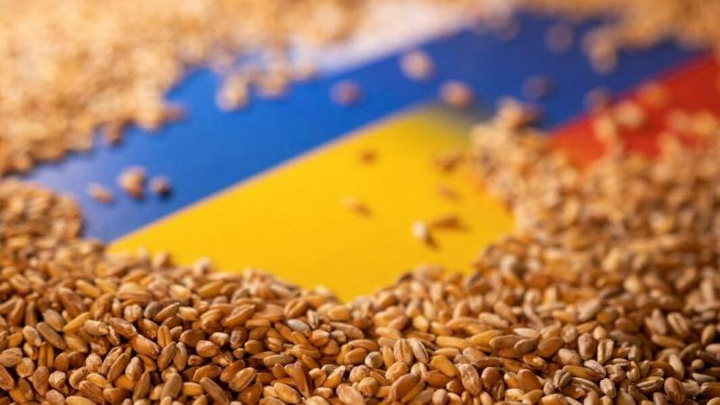 США планують закупити 150 тис. тонн українського зерна для розподілу в бідних країнах через Всесвітню продовольчу програму ООН (WFP).