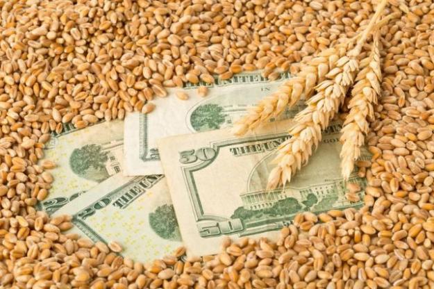 Украина в августе экспортировала 1,92 млн тонн зерновых и зернобобовых культур, а с начала 2022—2023 маркетингового года 3,62 млн тонн.