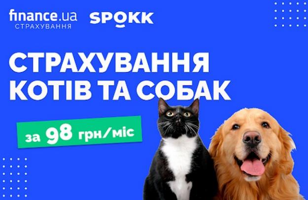 Гарна новина для власників домашніх улюбленців — відсьогодні на Finance.ua можна замовити страхування для котів та собак.