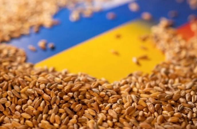 Россия заработала не менее $530 млн на продаже ворованного из Украины зерна.
