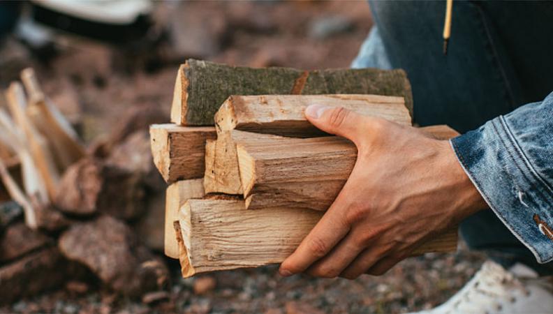 Чтобы упростить и сделать удобной для украинцев, покупку дров в Украине создали государственный интернет-магазин «ДроваЄ».