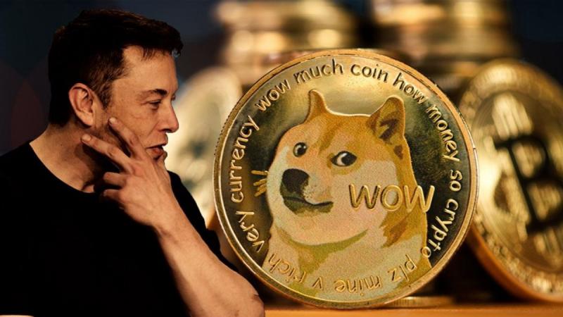 Ринкова вартість криптовалюти Dogecoin збільшилась на $10 млрд з моменту покупки соцмережі Twitter Ілоном Маском.
