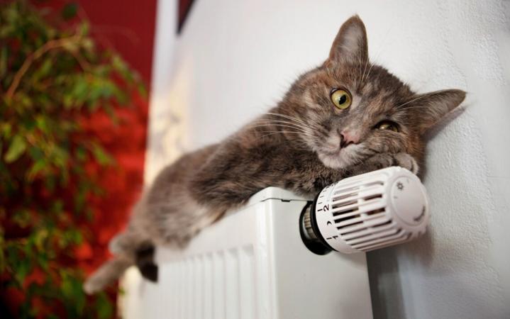 В Украине отопление подключено к 46% объектов.