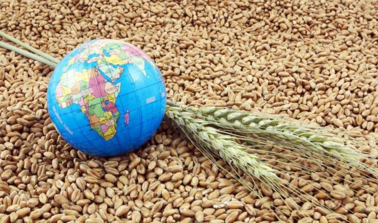 ФАО (Продовольственная и сельскохозяйственная организация ООН) в ноябре снизила по сравнению с октябрем прогноз мирового производства зерна в 2022 году на 4,9 млн тонн — до 2,76 млрд тонн.