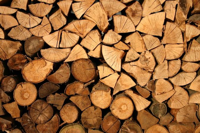 Кабинет министров на заседании в пятницу, 25 ноября, принял решение о запрете на экспорт топливной древесины.